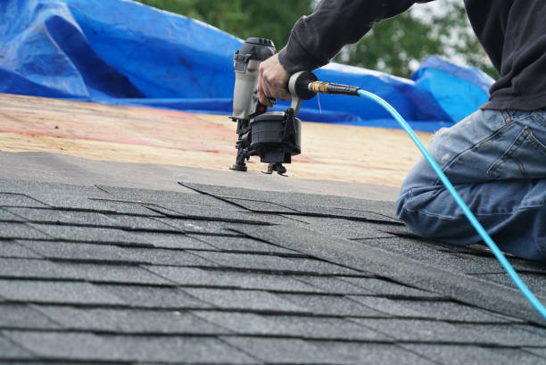 Best Roof Gutter Cleaning  in First Mesa, AZ
